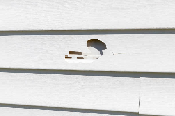 Best Custom Trim and Detailing for Siding  in West Carrollton, OH